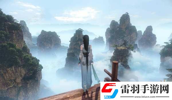 新手必讀