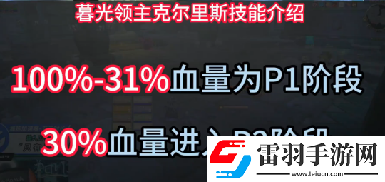 描述