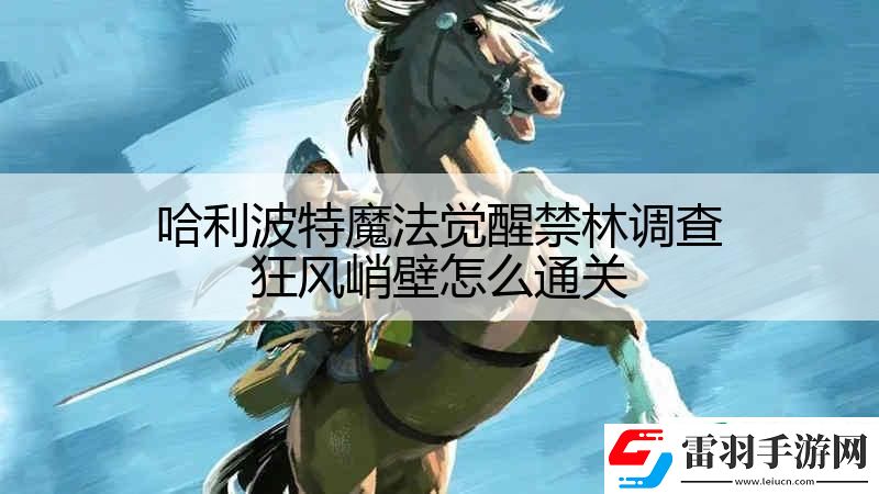 哈利波特魔法覺醒禁林調(diào)查狂風(fēng)峭壁怎么通關(guān)
