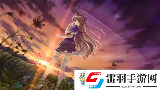 黑寡婦V3無線多少入手合適