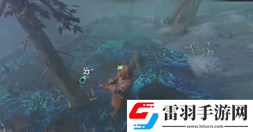 霧鎖王國碎布料怎么獲取