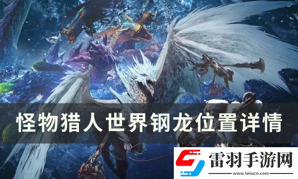 怪物獵人世界鋼龍?jiān)谀膫€(gè)位置