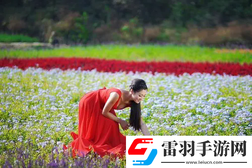 紅塵影院手機在線觀看：高質量內容和流暢播放體驗，熱門影片推薦與觀影指南！