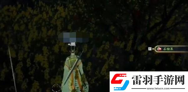 射雕手游安石榴在哪采集