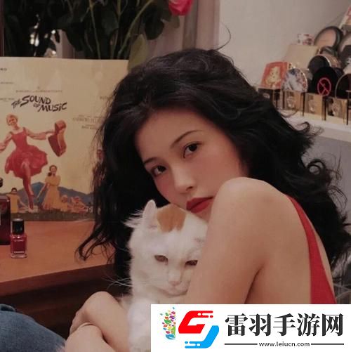國(guó)外免費(fèi)SVN