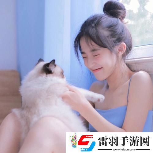 空匣人型角色強(qiáng)度排行榜