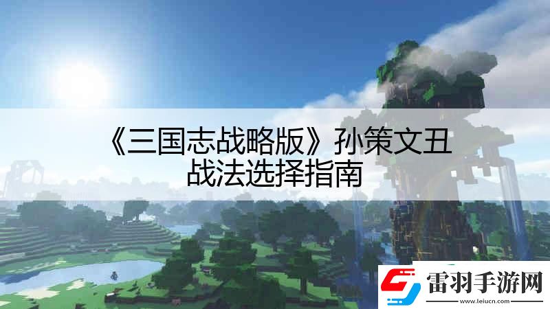 三國志戰(zhàn)略版孫策文丑戰(zhàn)法選擇指南