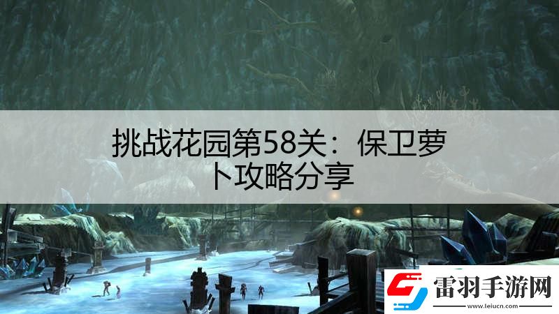 挑戰(zhàn)花園第58關