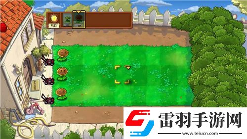 九陰真經(jīng)武當五內(nèi)屬性全解析