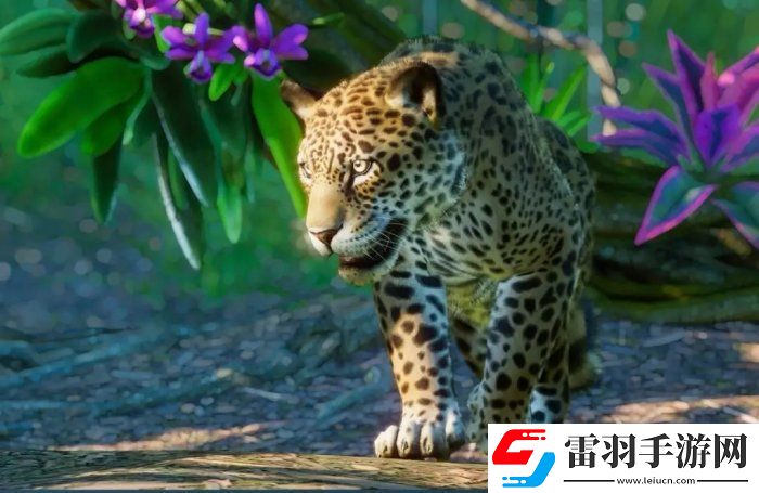 動(dòng)物園之星南美洲包有什么動(dòng)物