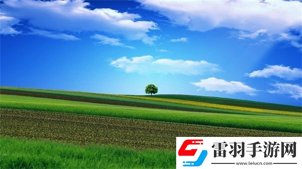 歐產(chǎn)日產(chǎn)國產(chǎn)水蜜桃