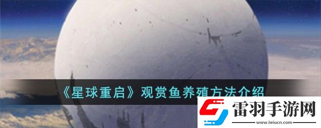 星球重啟觀賞魚(yú)養(yǎng)殖方法介紹