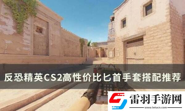 反恐精英CS2高性價(jià)比手套匕首怎么搭配