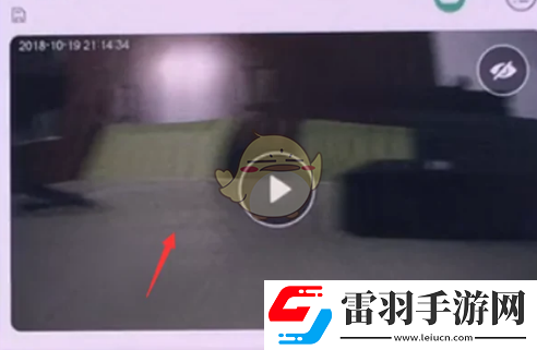 樂(lè)橙怎么看回放