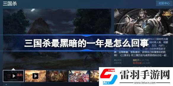 三國殺最黑暗的一年是怎么回事