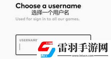 手機(jī)注冊(cè)拳頭賬號(hào)頁面翻譯