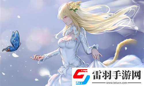 無尺碼精品產(chǎn)品