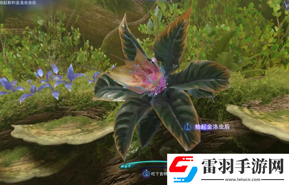 阿凡達潘多拉邊境一路順風支線怎么做