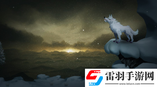 暖雪3.0.0.5更新了什么