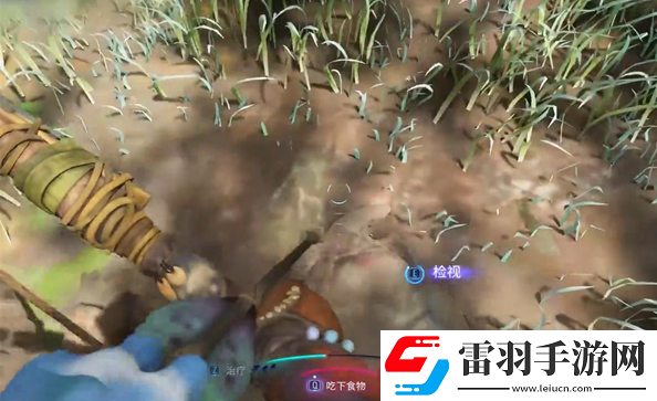 阿凡達潘多拉邊境奪命狩獵支線任務怎么做