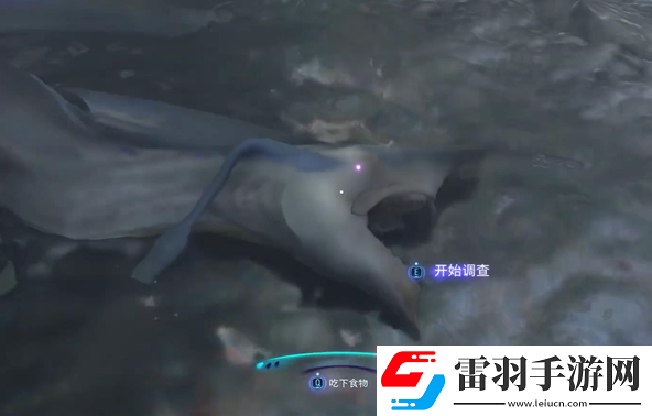 阿凡達潘多拉邊境奪命狩獵支線任務怎么做