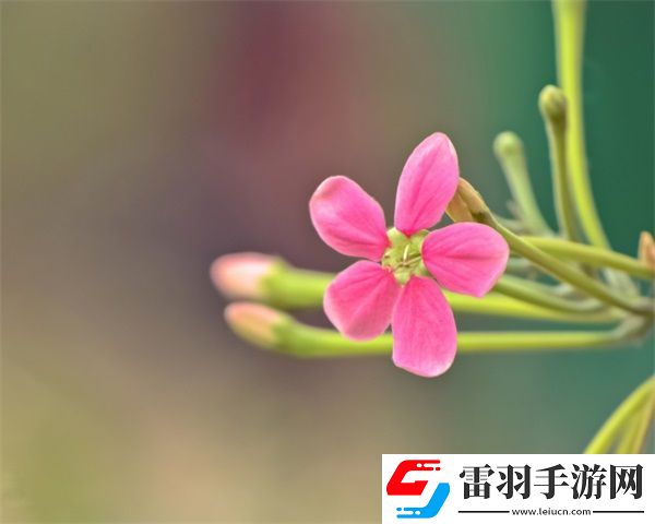 王者榮耀姬小滿(mǎn)張嘴流眼淚圖