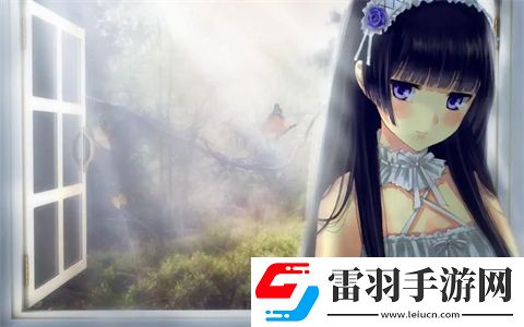 日本W(wǎng)indows