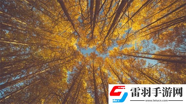 麻豆精產(chǎn)三產(chǎn)最簡(jiǎn)單處理方法