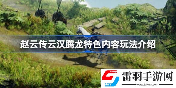 趙云傳云漢騰龍好玩嗎