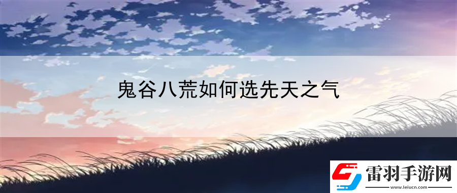鬼谷八荒如何選先天之氣