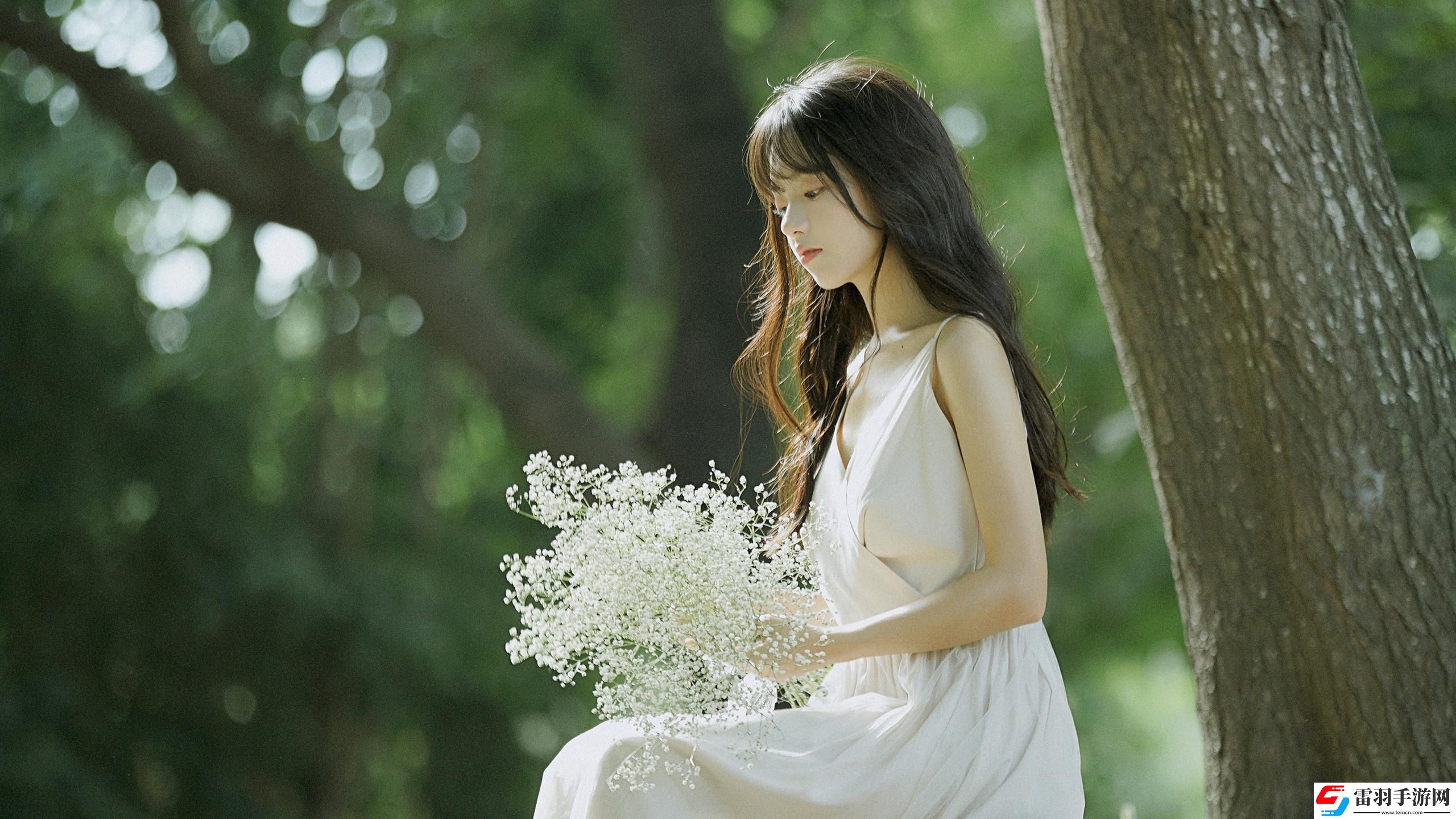 秘密花園高清在線觀看完整版：走進秘密花園，在線觀看完整版，感受那片花園帶來的溫暖與治愈！