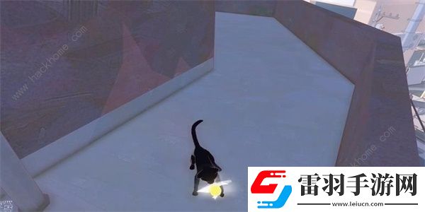 小貓咪大城市向日葵帽在哪