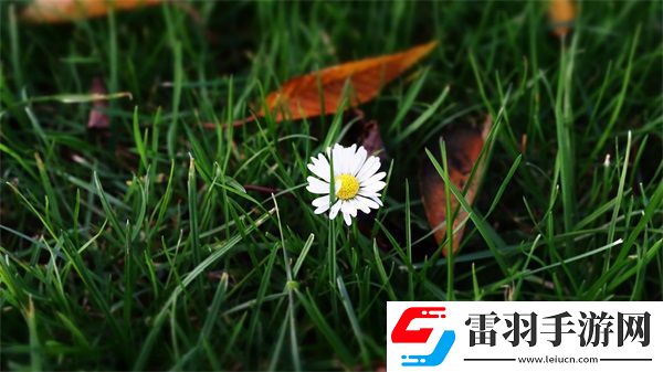 三指探洞和二指的區(qū)別是什么