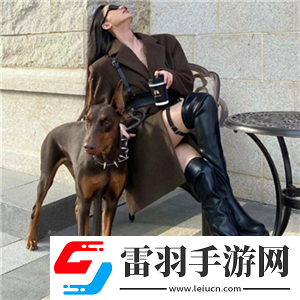 成品網(wǎng)站5668入口的功能介紹