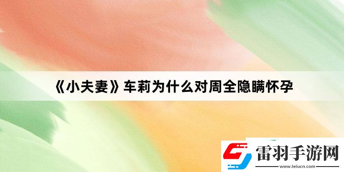 小夫妻車?yán)驗槭裁磳χ苋[瞞懷孕