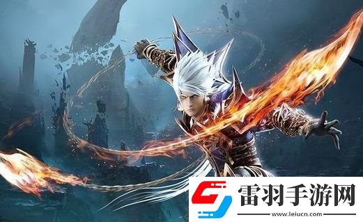 大耳熊泰迪皮劃艇有什么特色內(nèi)容