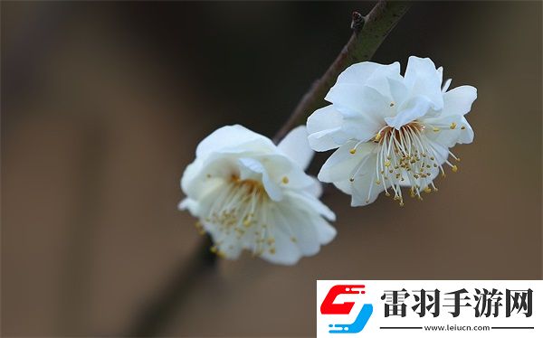 一個在上吃一個在下面敷面膜