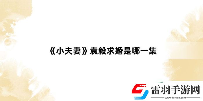 小夫妻袁毅求婚是哪一集