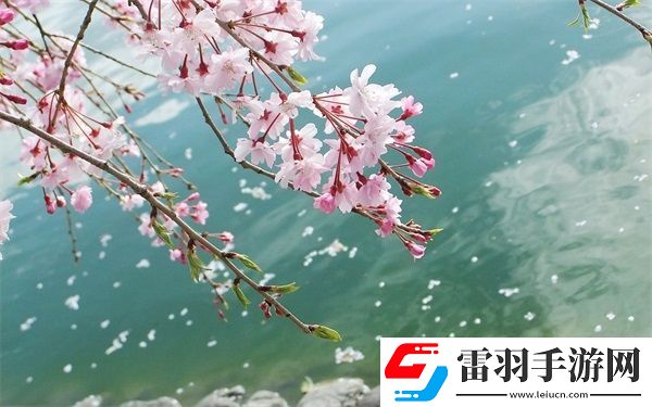 歐美無人區(qū)碼SUV