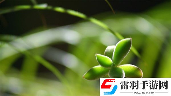 成免費CRM播放模式的特點