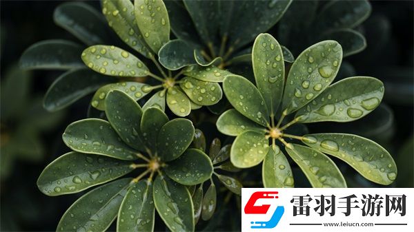 韓國三色電費(fèi)2024免費(fèi)嗎