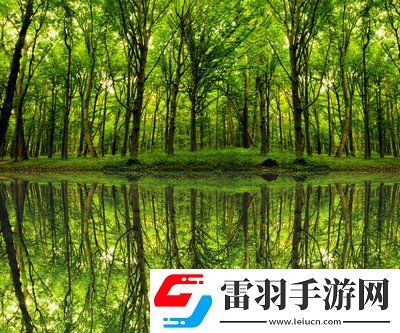 單身男女觀看免費完整版：在愛與孤獨之間，讓你感受不一樣的心動時刻！
