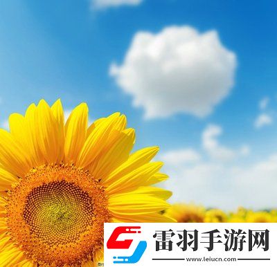 日本尺碼與亞洲尺碼區(qū)別的奧秘：服裝尺碼的文化差異，找到適合自己的完美尺寸！