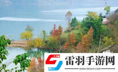 老牛影視文化傳媒有限公司官方：匠心打造精品影視，開啟文化新紀(jì)元！