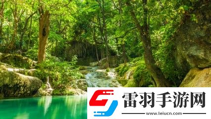 x7x7任意噪入口直達大象：探索無盡可能的數(shù)字世界，暢享驚奇與樂趣！