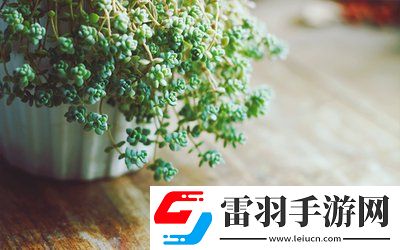 校園pop1n高中多場(chǎng)地文，青春無敵,網(wǎng)友：帶你走進(jìn)多場(chǎng)地高中的精彩紛呈！