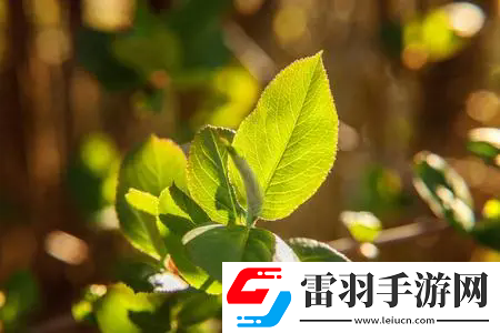 校園pop1n高中多場(chǎng)地文：學(xué)子齊聚校園pop1n，領(lǐng)略青春的多彩演繹，開(kāi)啟無(wú)限可能！