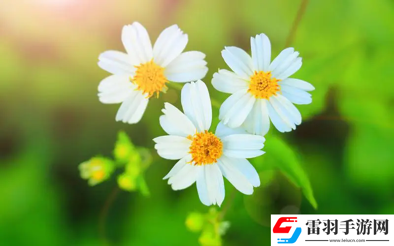姬小滿拿槍獎(jiǎng)勵(lì)自己核心提示，網(wǎng)友：意想不到的故事背后竟藏著深層次心理問(wèn)題！