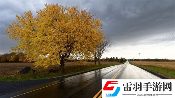 麻花豆旗下蘇婭蘇語棠是誰