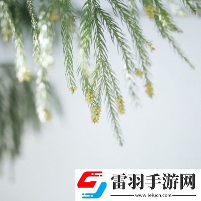 68式是怎么樣的圖片：文化傳承——感受經(jīng)典武器的魅力與時代精神！
